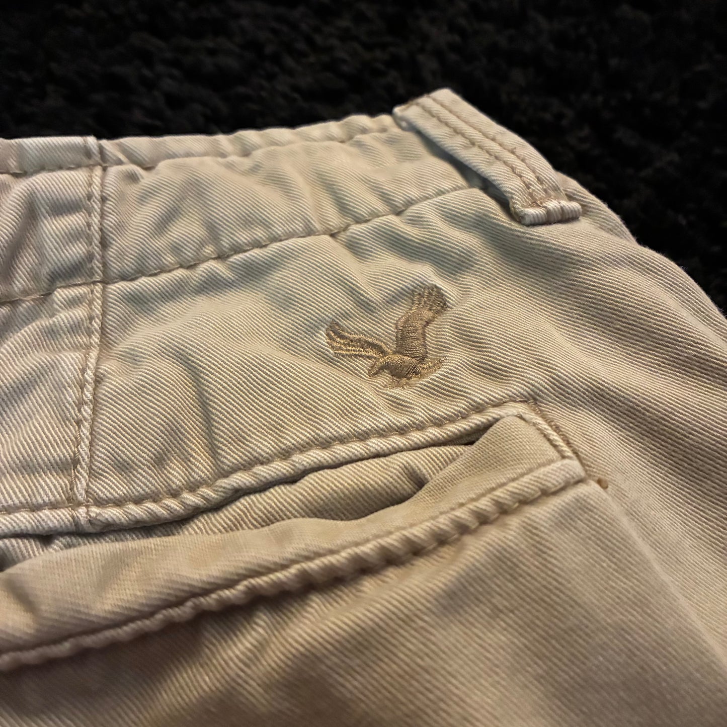 American Eagle Chino Shorts (28w)