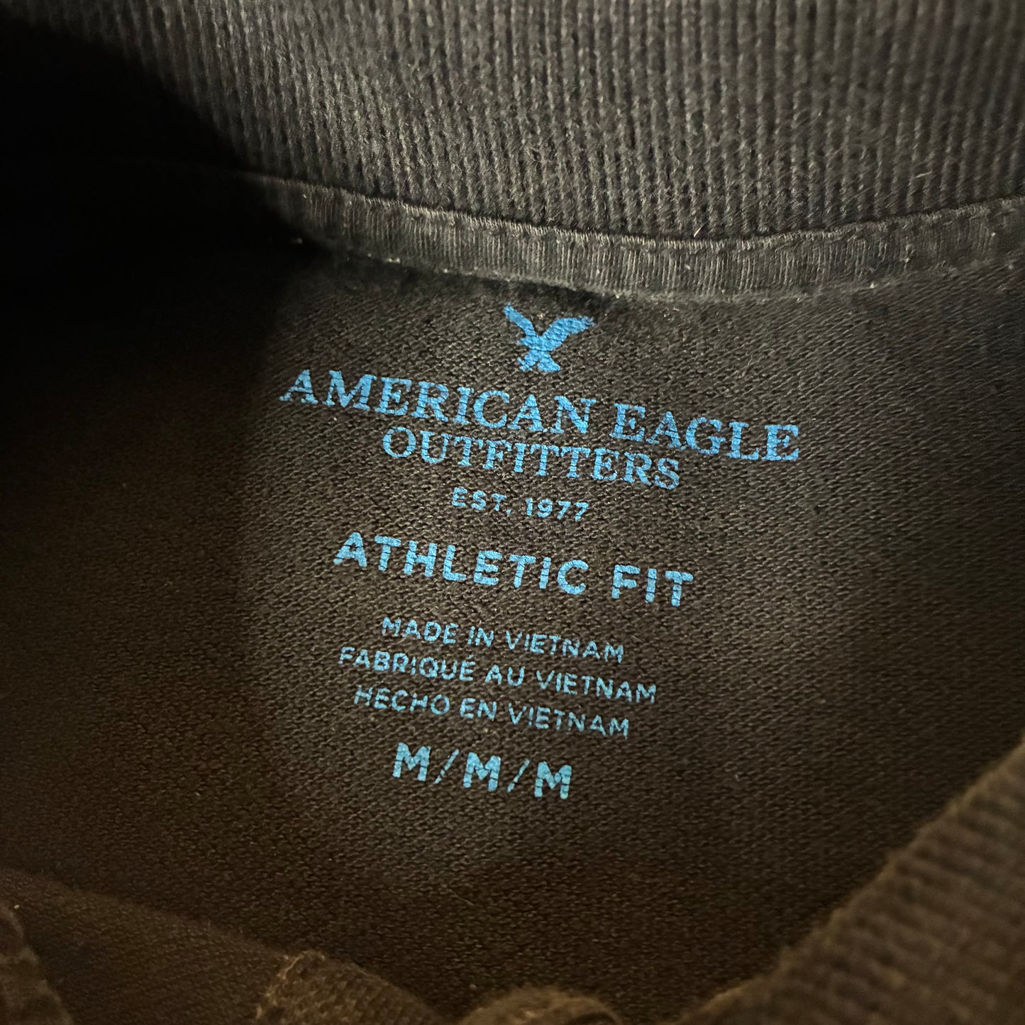 American Eagle Polo (M)
