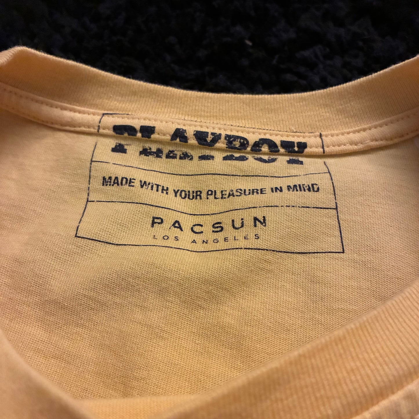 Playboy X Pacsun Graphic Tee (L)