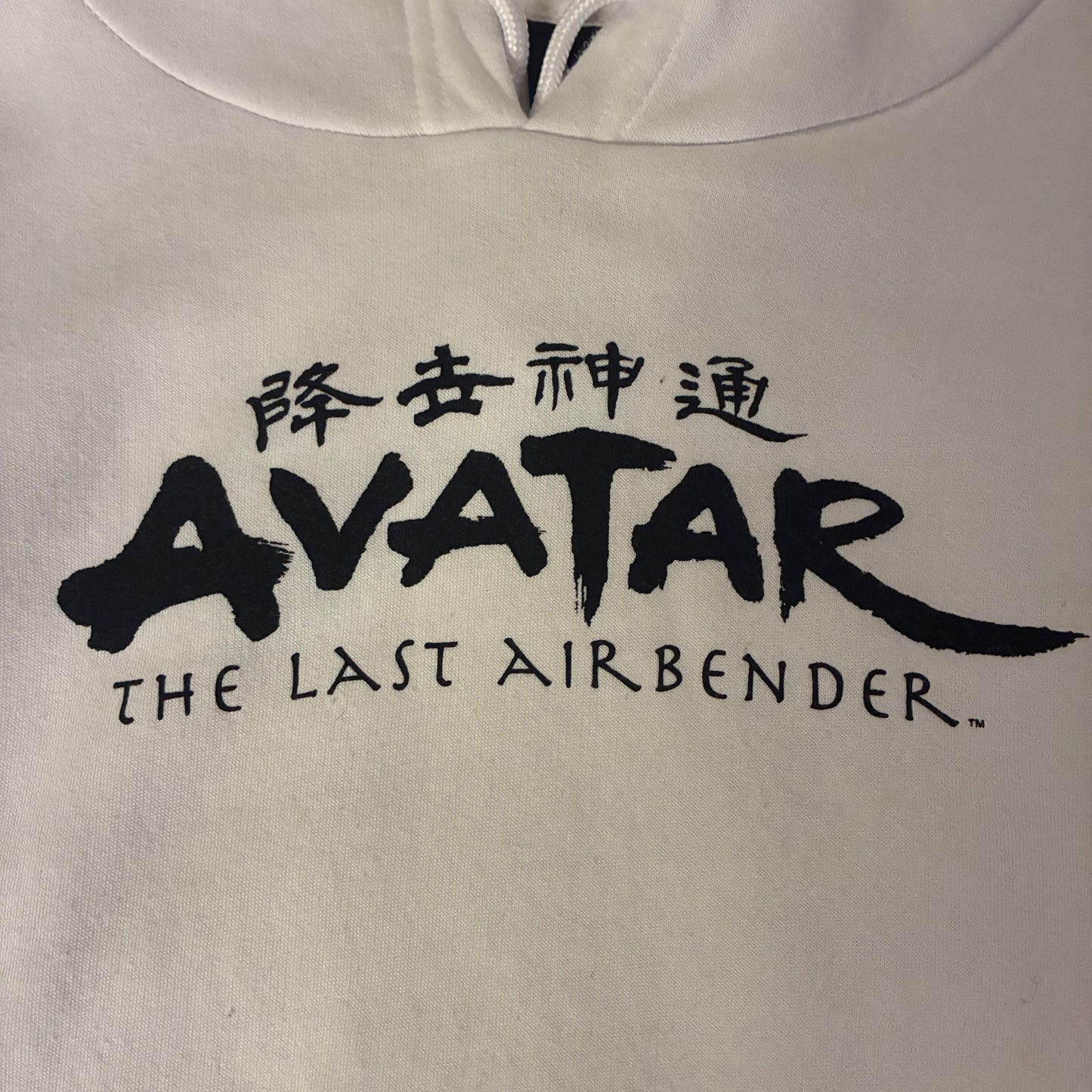Avatar The Last Airbender Hoodie (M)