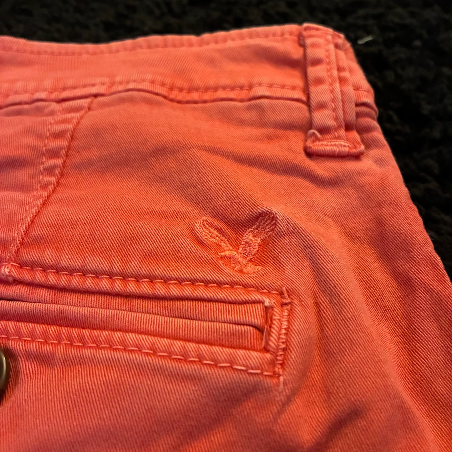 American Eagle Chino Shorts (30w)
