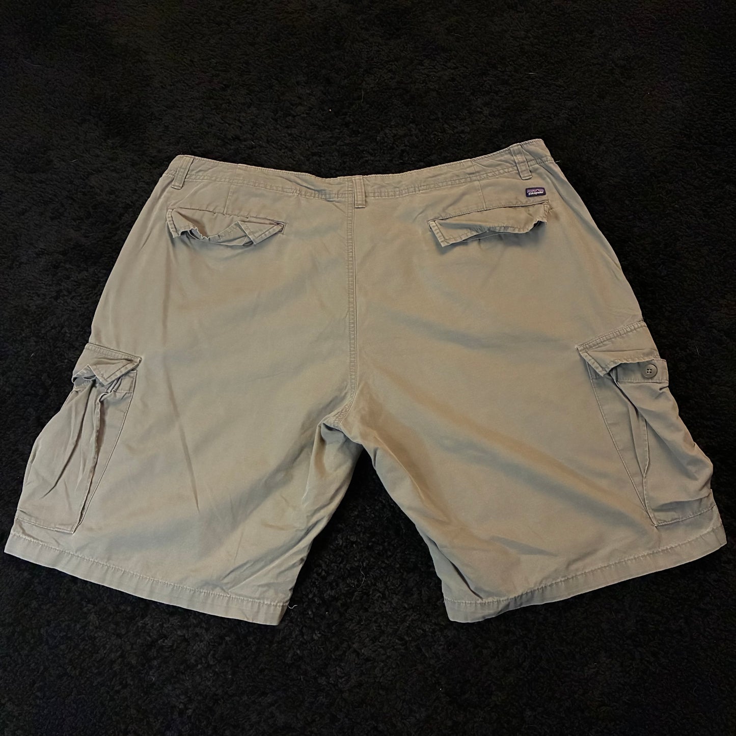 Patagonia Cargo Shorts (40w)
