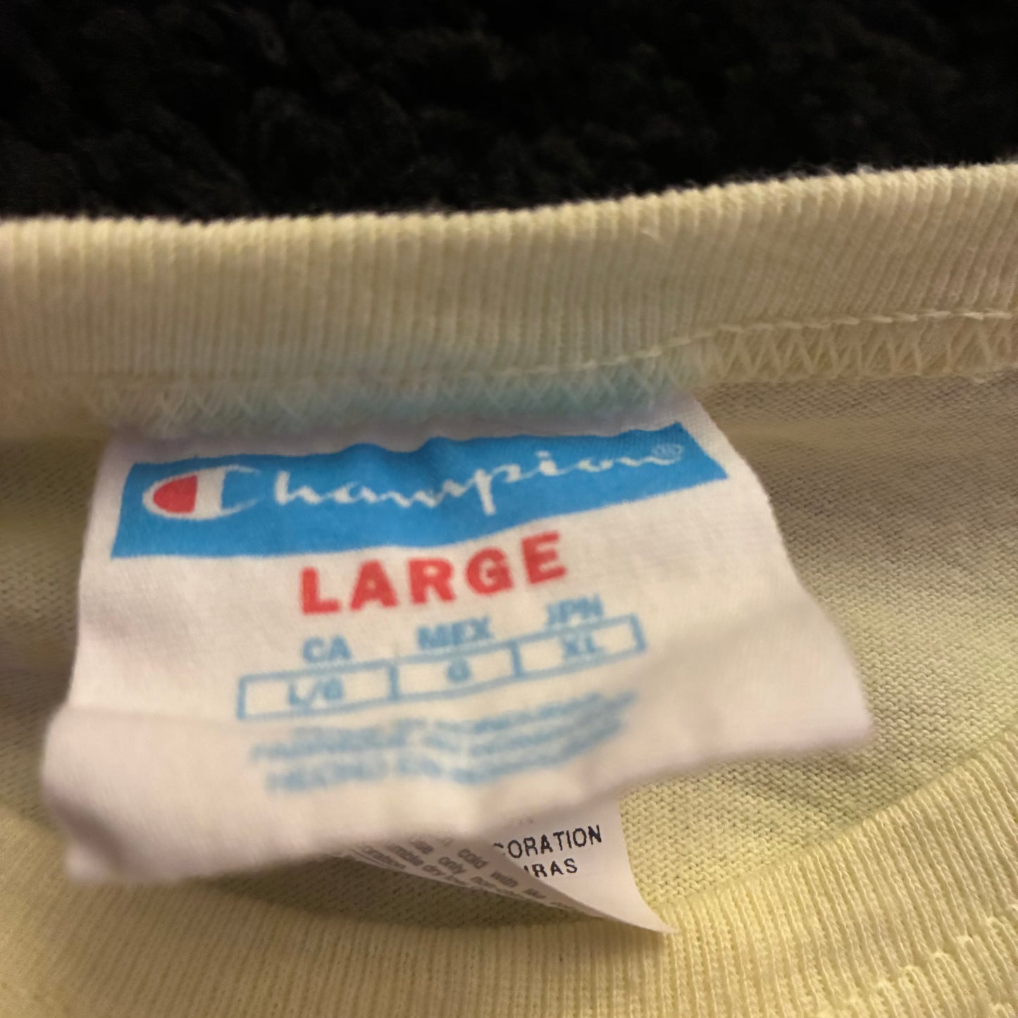 Champion Logo Tee (L)