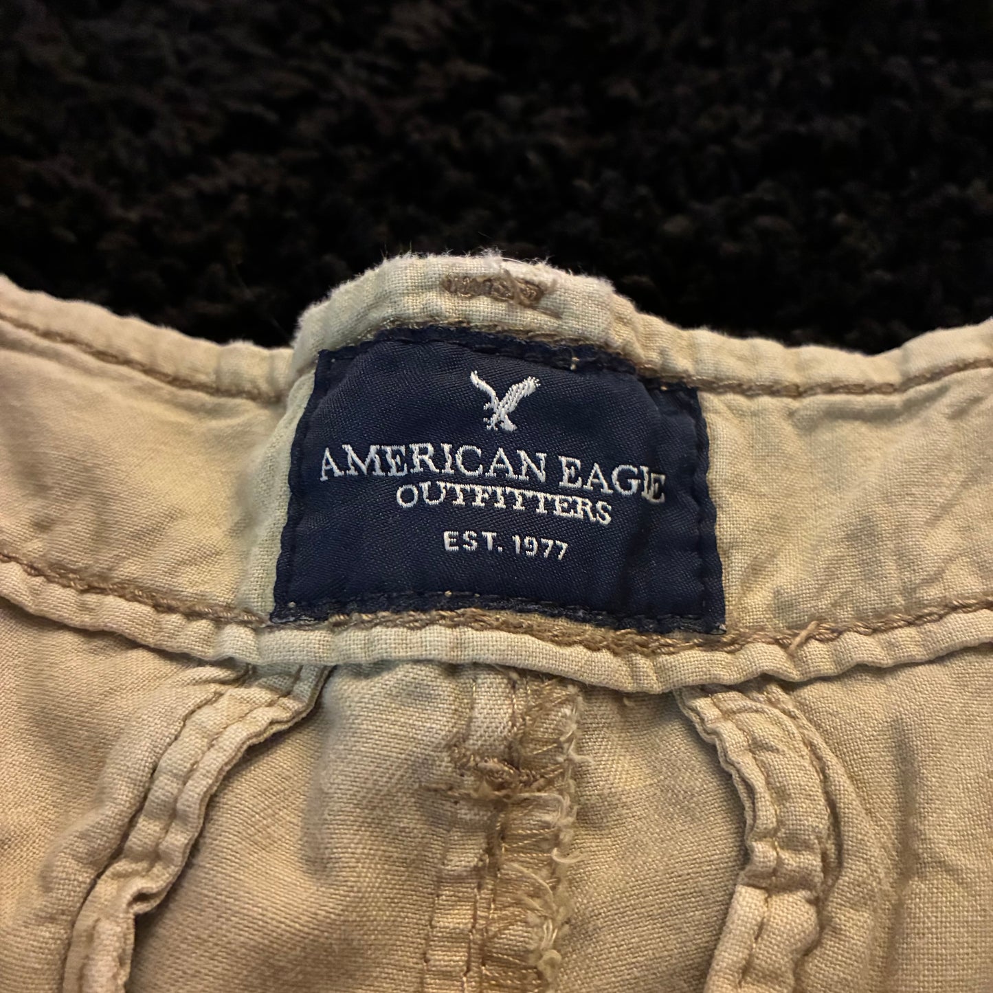 American Eagle Chino Shorts (28w)