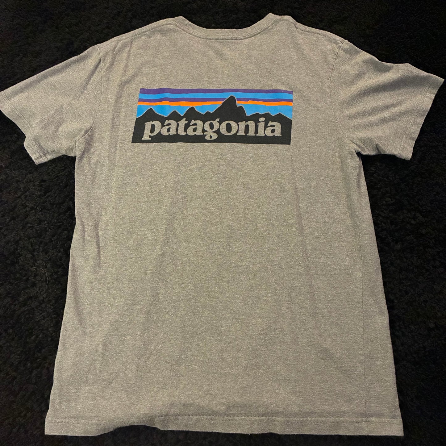 Patagonia Logo Tee (M)