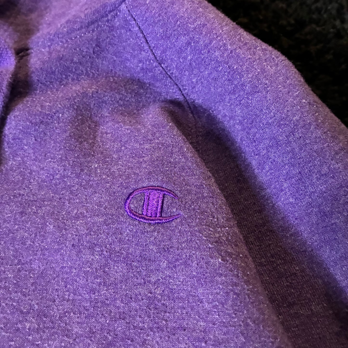 Champion Hoodie (L)