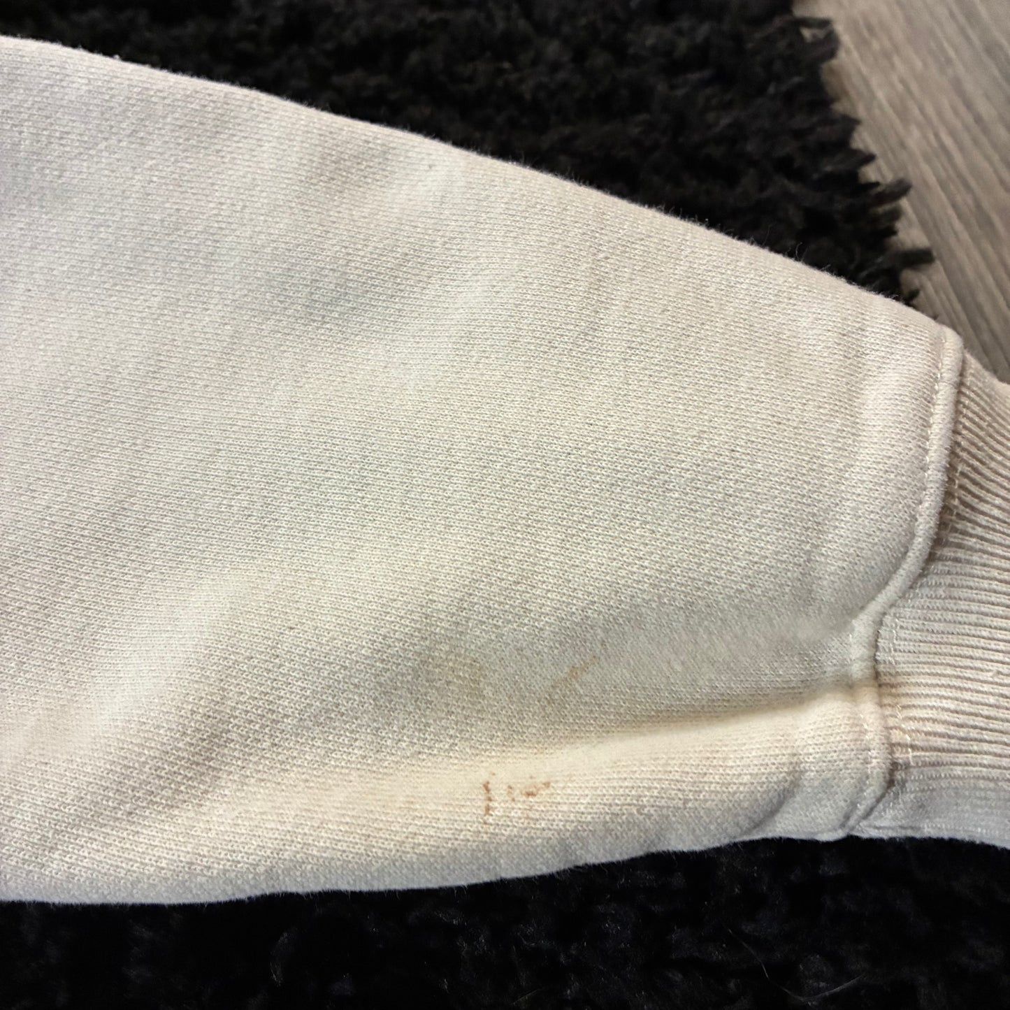 Champion Reverse-Weave Hoodie (S)