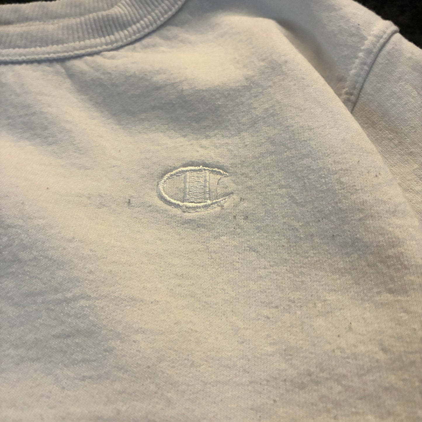 Champion Crewneck (XS)