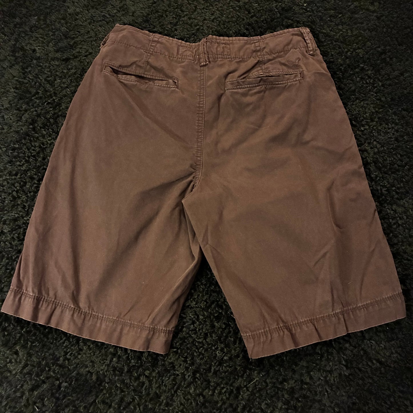 American Eagle Chino Shorts (28w)