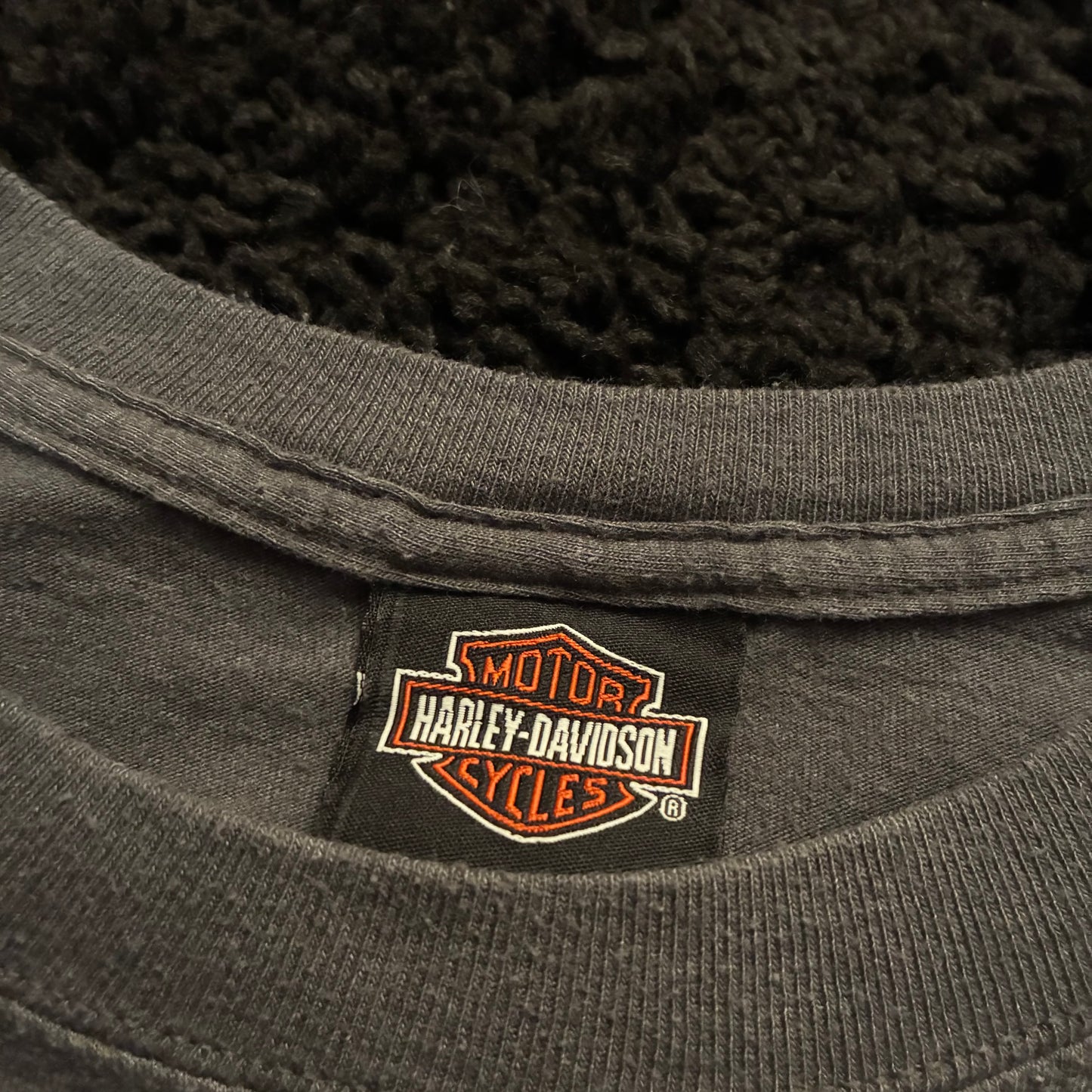Harley Davidson Long Sleeve ( L)
