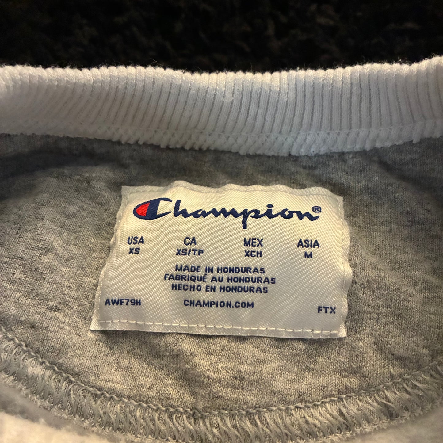Champion Crewneck (XS)