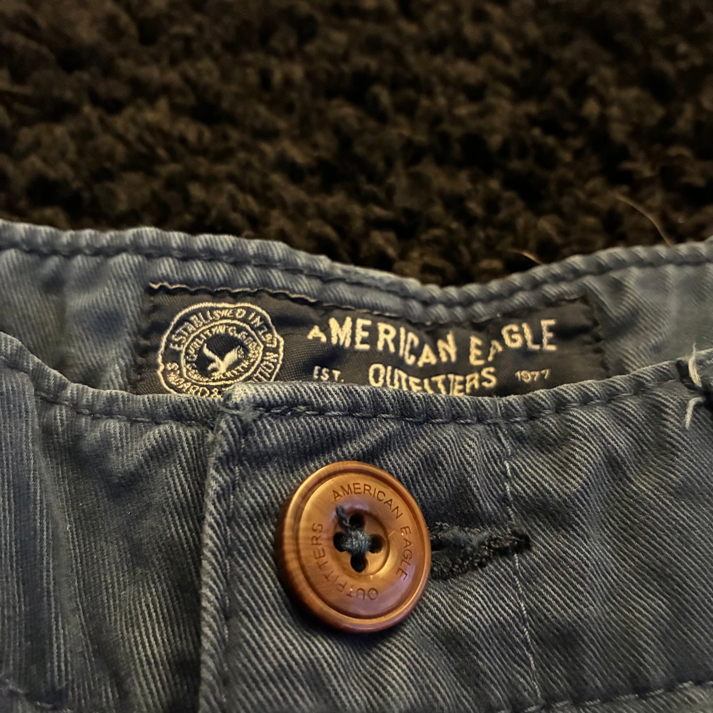 American Eagle Chino Shorts (30w)