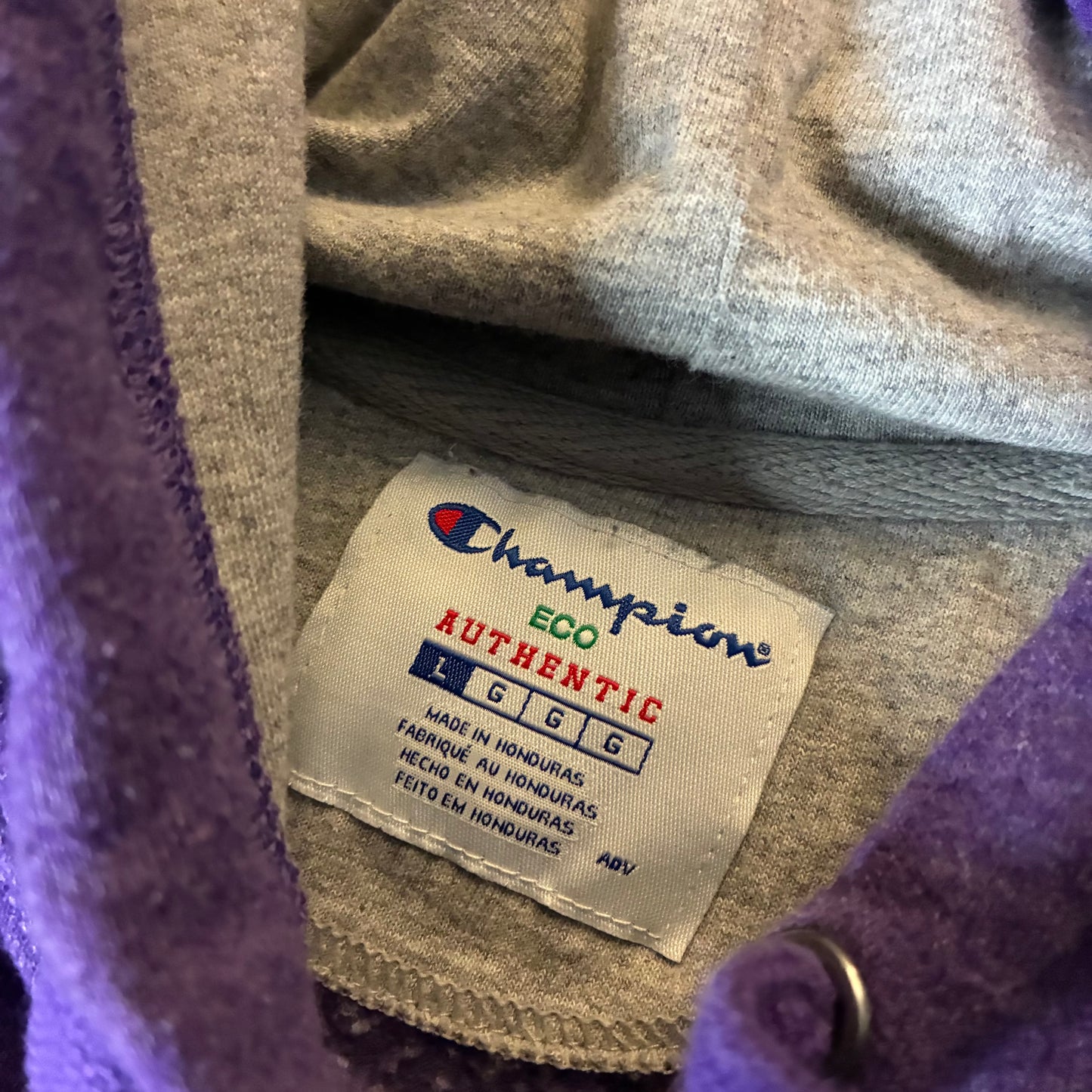 Champion Hoodie (L)