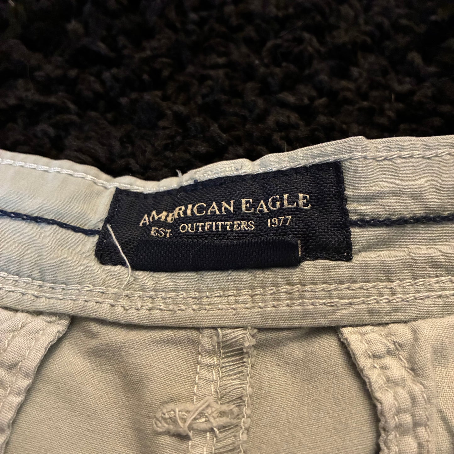 American Eagle Chino Shorts (29w)