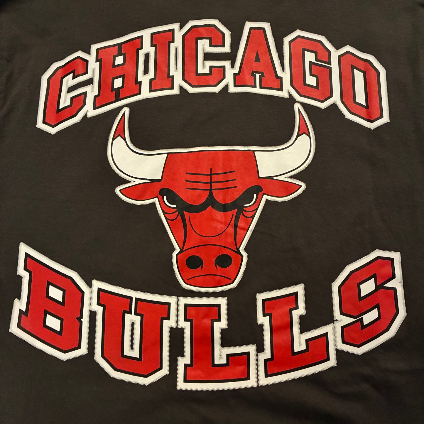 Chicago Bulls Logo Tee (M) *New*