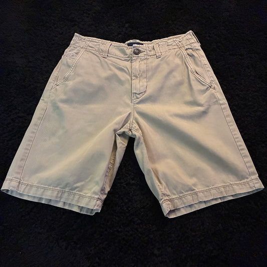 American Eagle Chino Shorts (28w)
