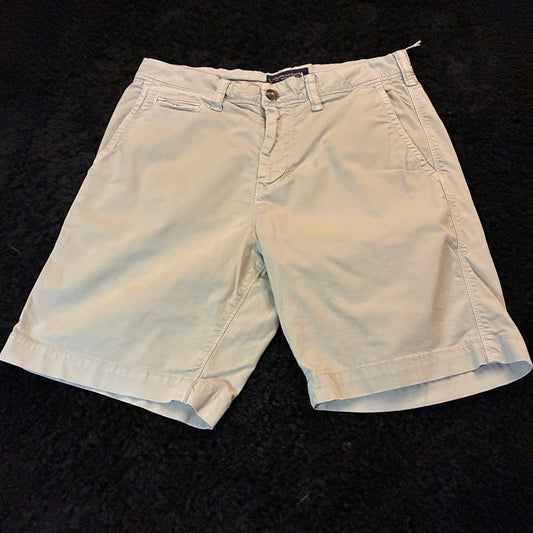 American Eagle Chino Shorts (29w)