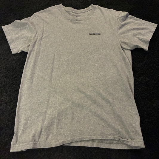 Patagonia Logo Tee (M)