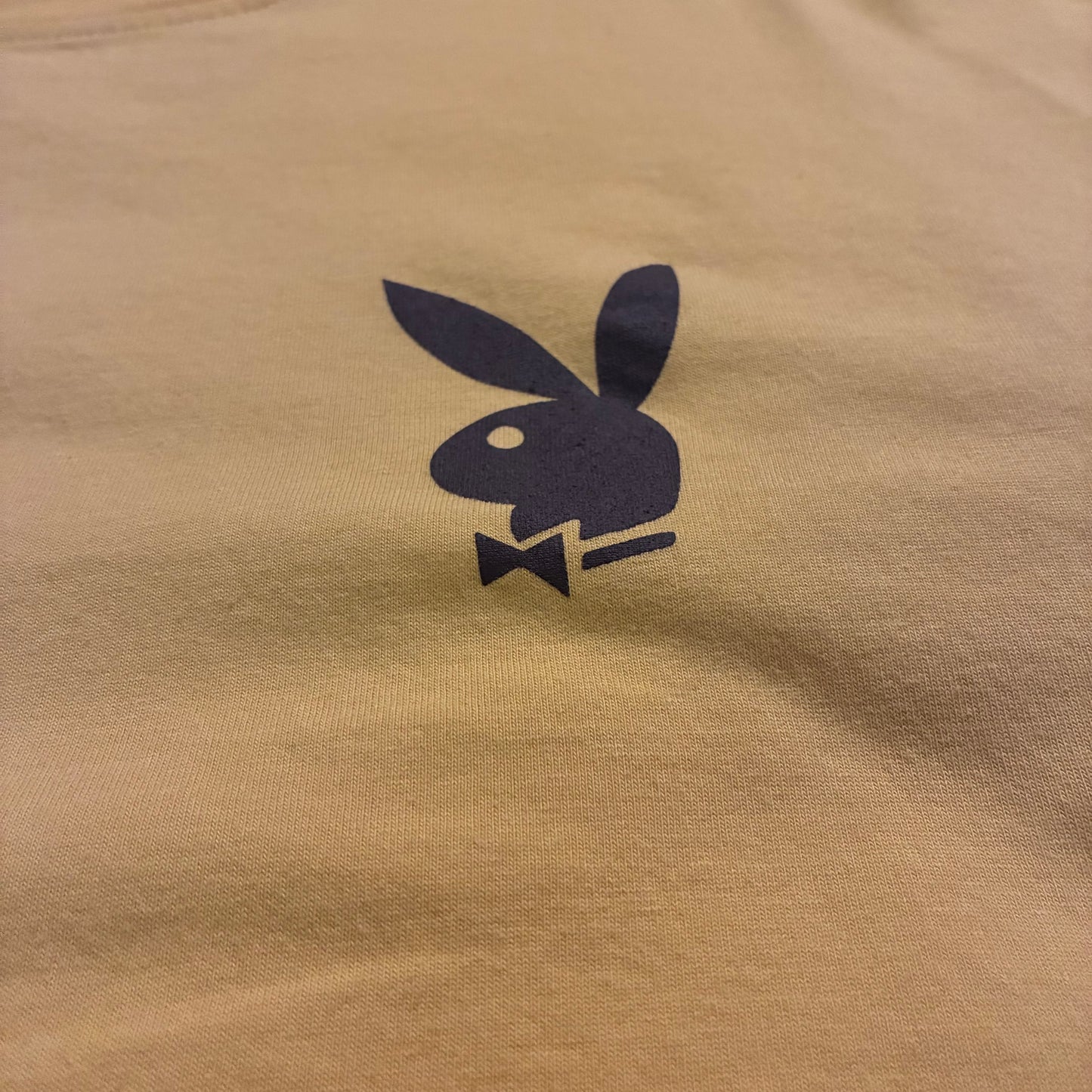 Playboy X Pacsun Graphic Tee (L)