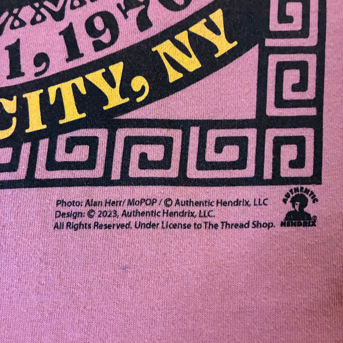 Jimi Hendrix Tee (L)