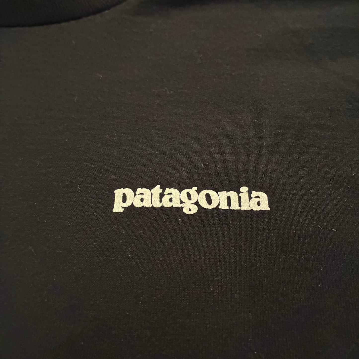 Patagonia Long Sleeve (L)