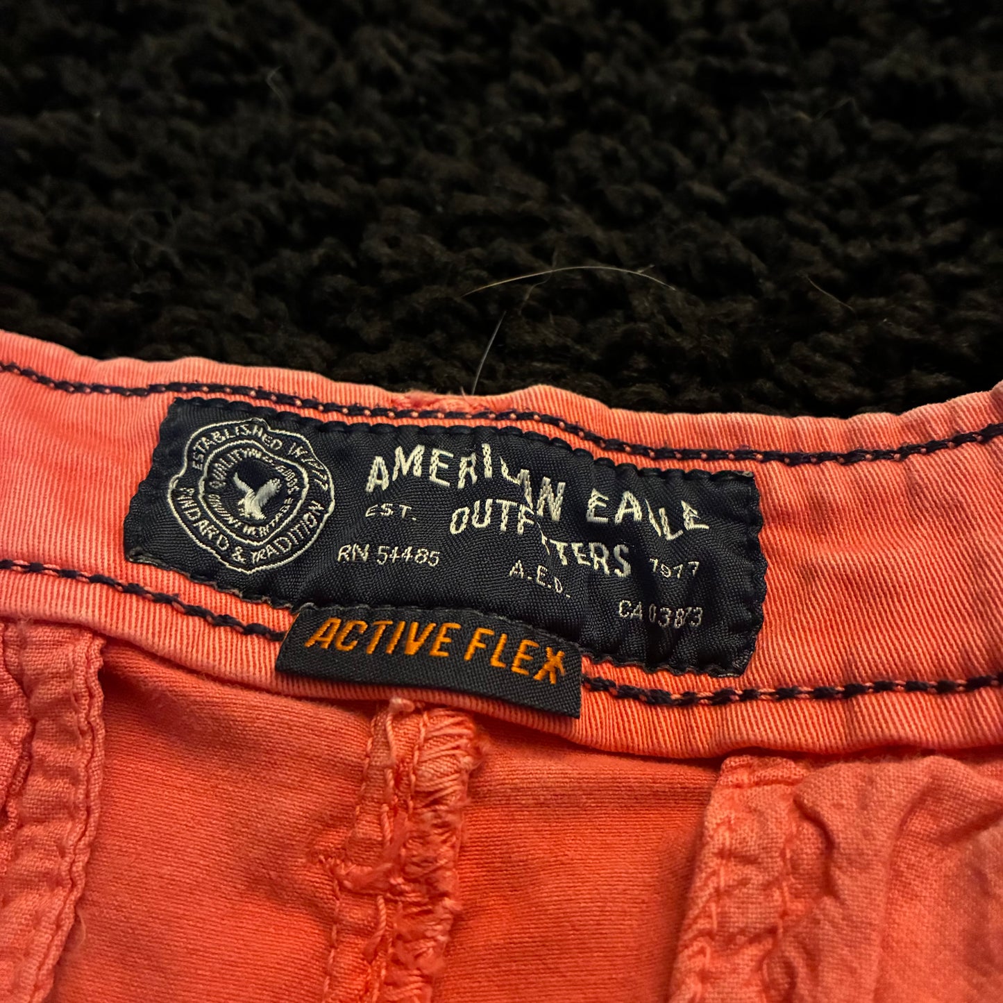 American Eagle Chino Shorts (30w)