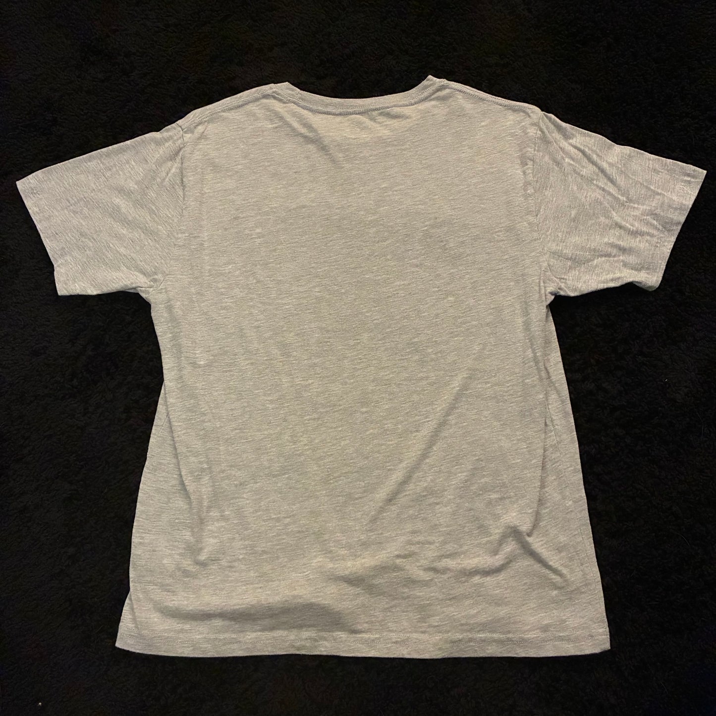 Wild and Free ‘76 Tour Free Bird Graphic Tee (M)