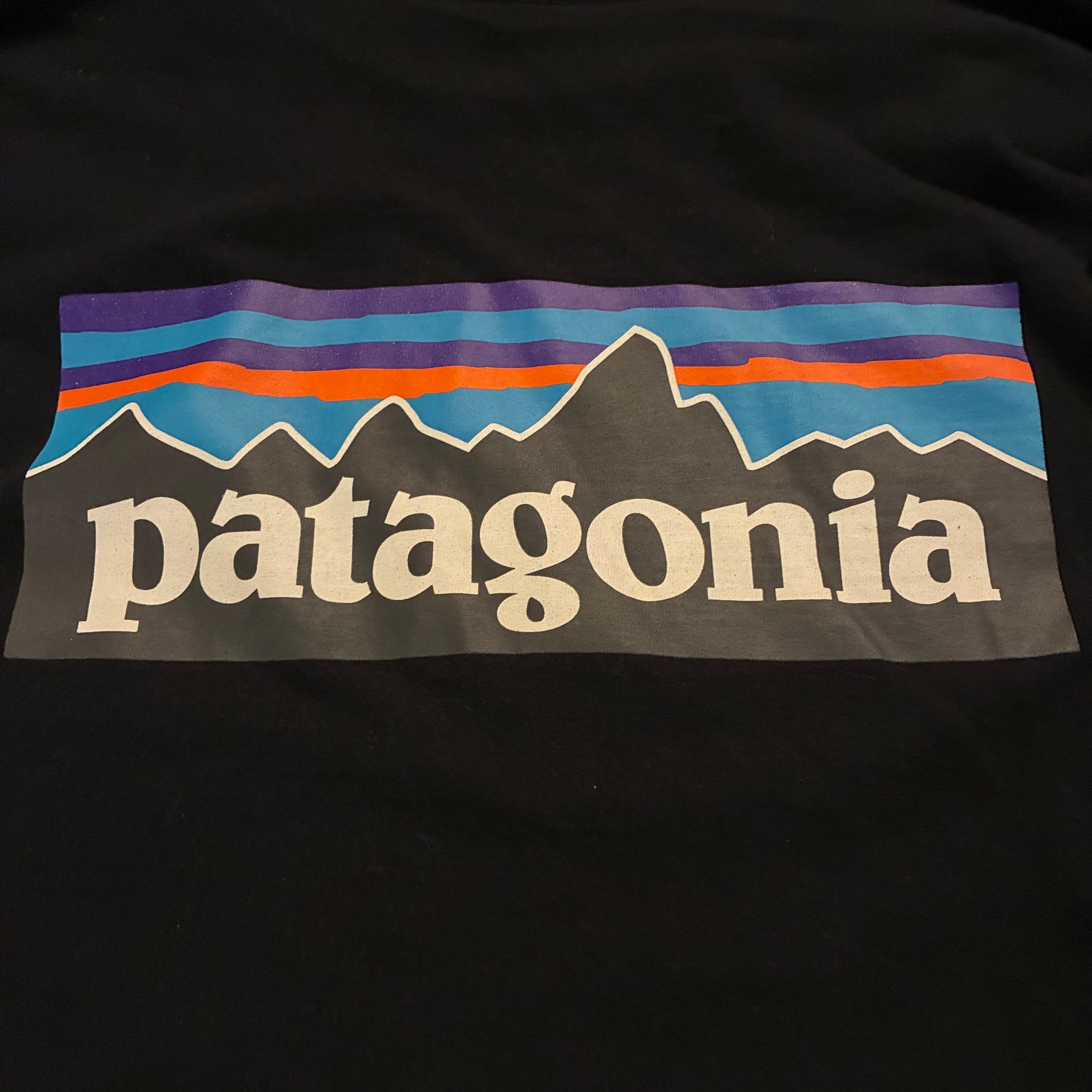 Patagonia Long Sleeve (L)