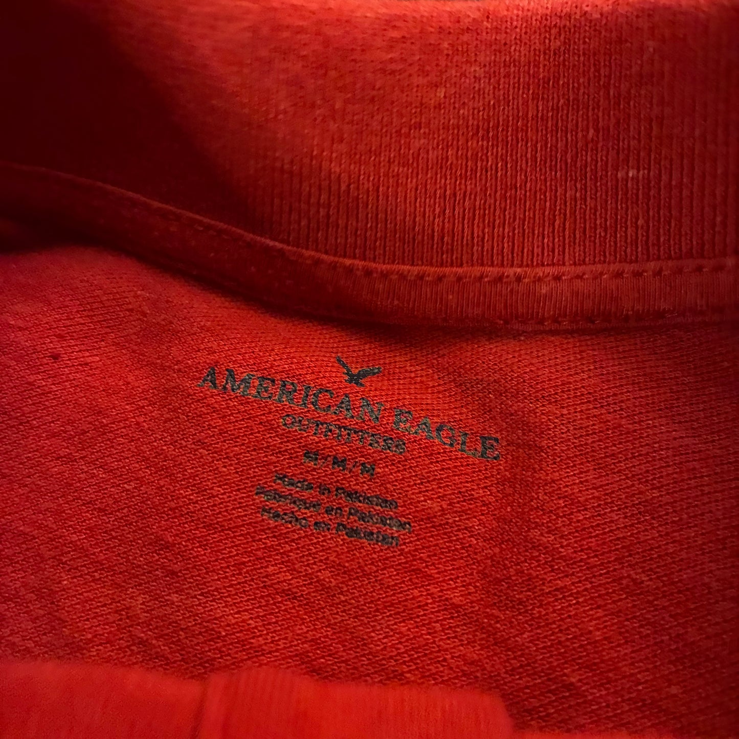 American Eagle Polo (M)