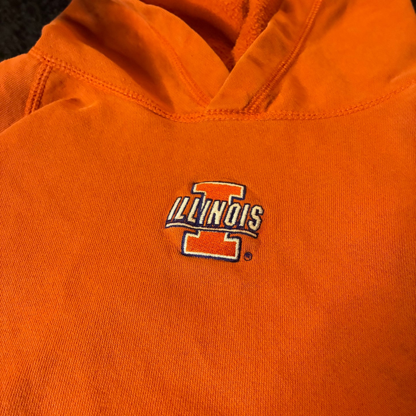 University of Illinois Hoodie (Fits S)