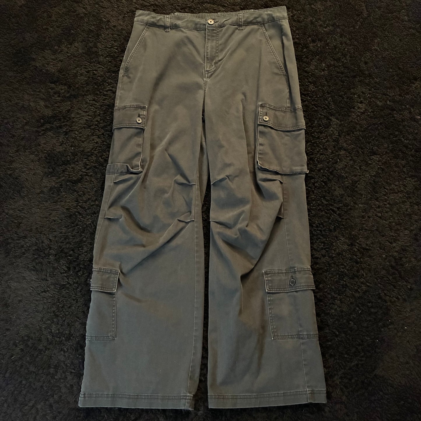 Wild Fable Cargo Pants (L)
