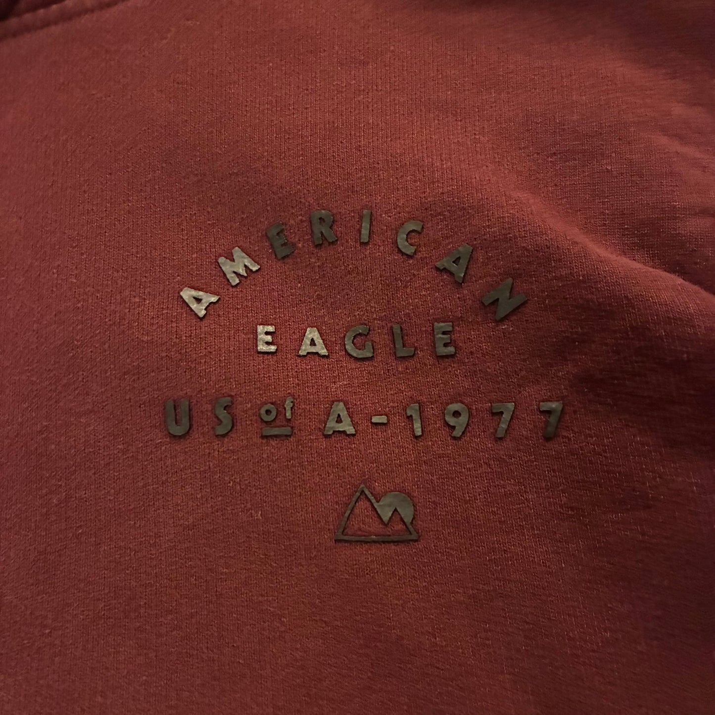 American Eagle Hoodie ( M)
