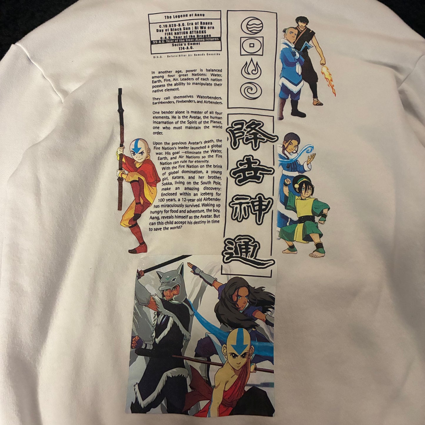 Avatar The Last Airbender Hoodie (M)