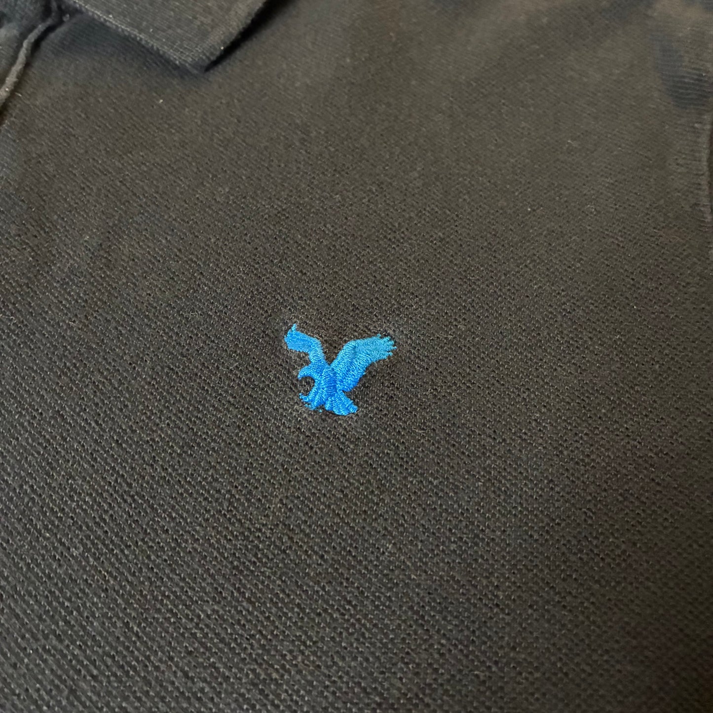 American Eagle Polo (M)