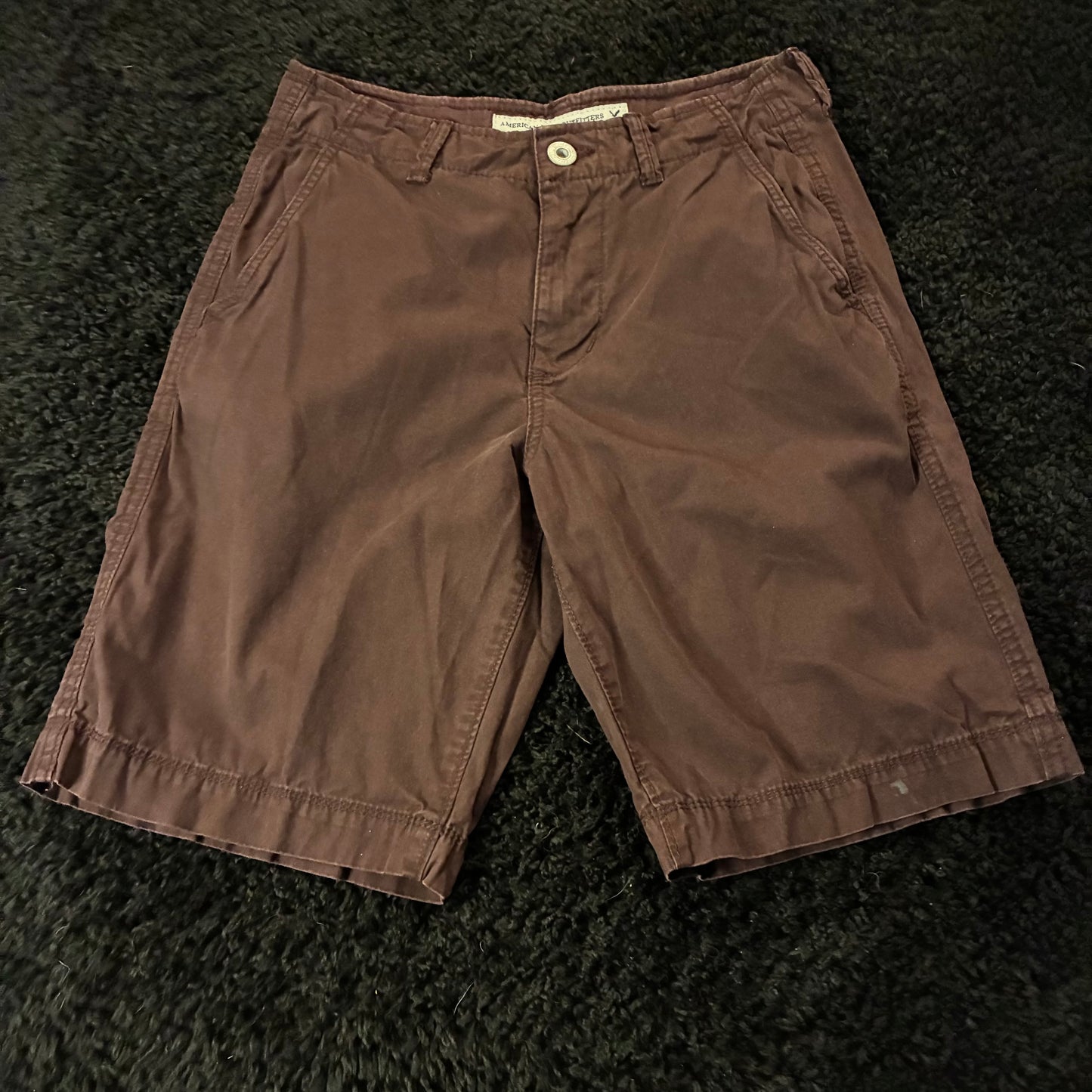 American Eagle Chino Shorts (28w)