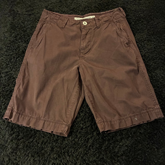 American Eagle Chino Shorts (28w)