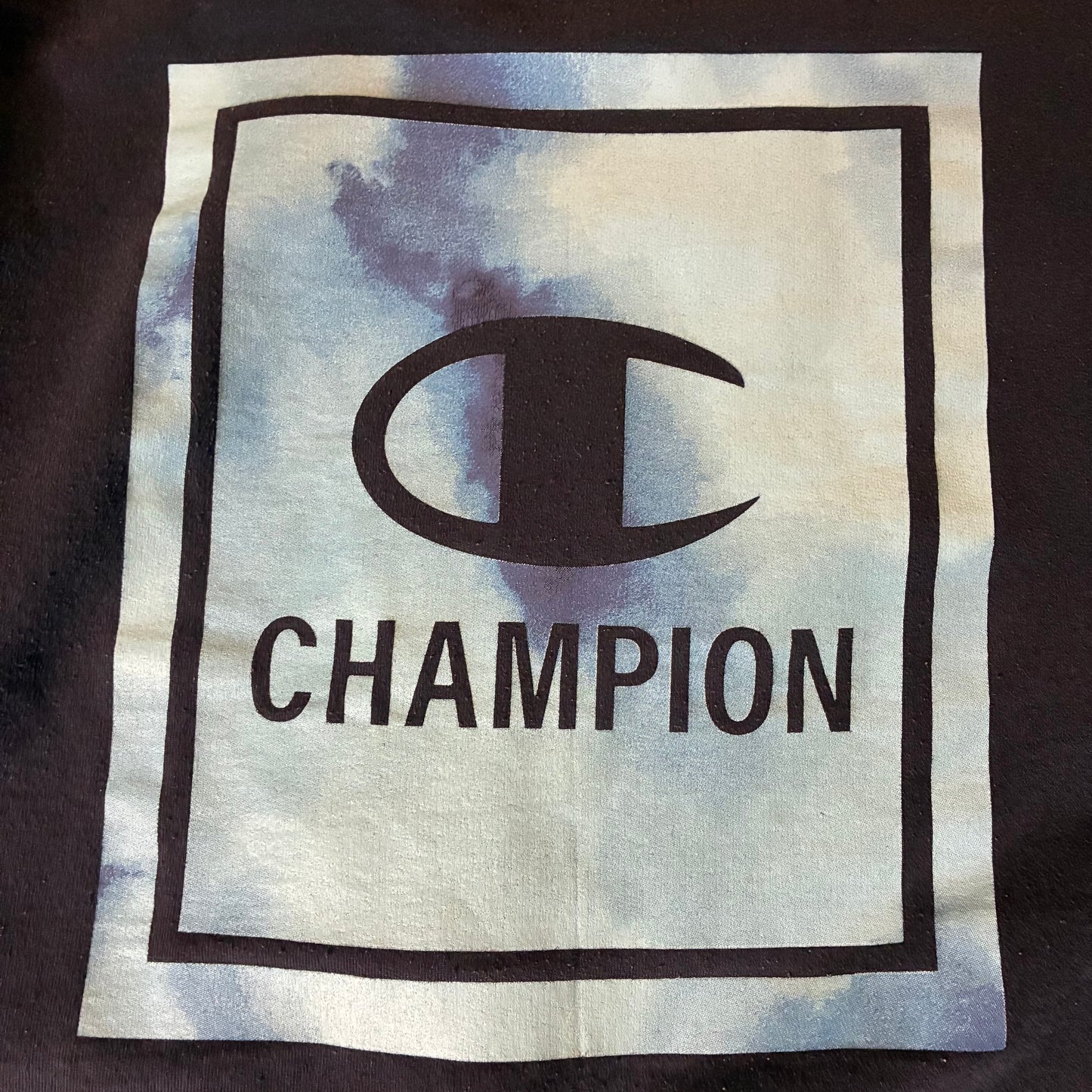 Champion Crewneck (L)