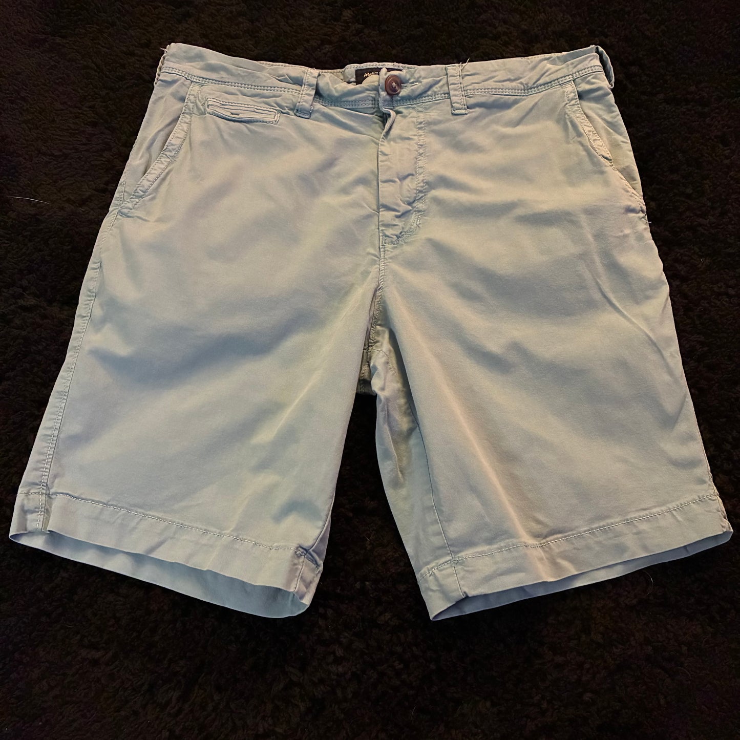 American Eagle Chino Shorts (33w)