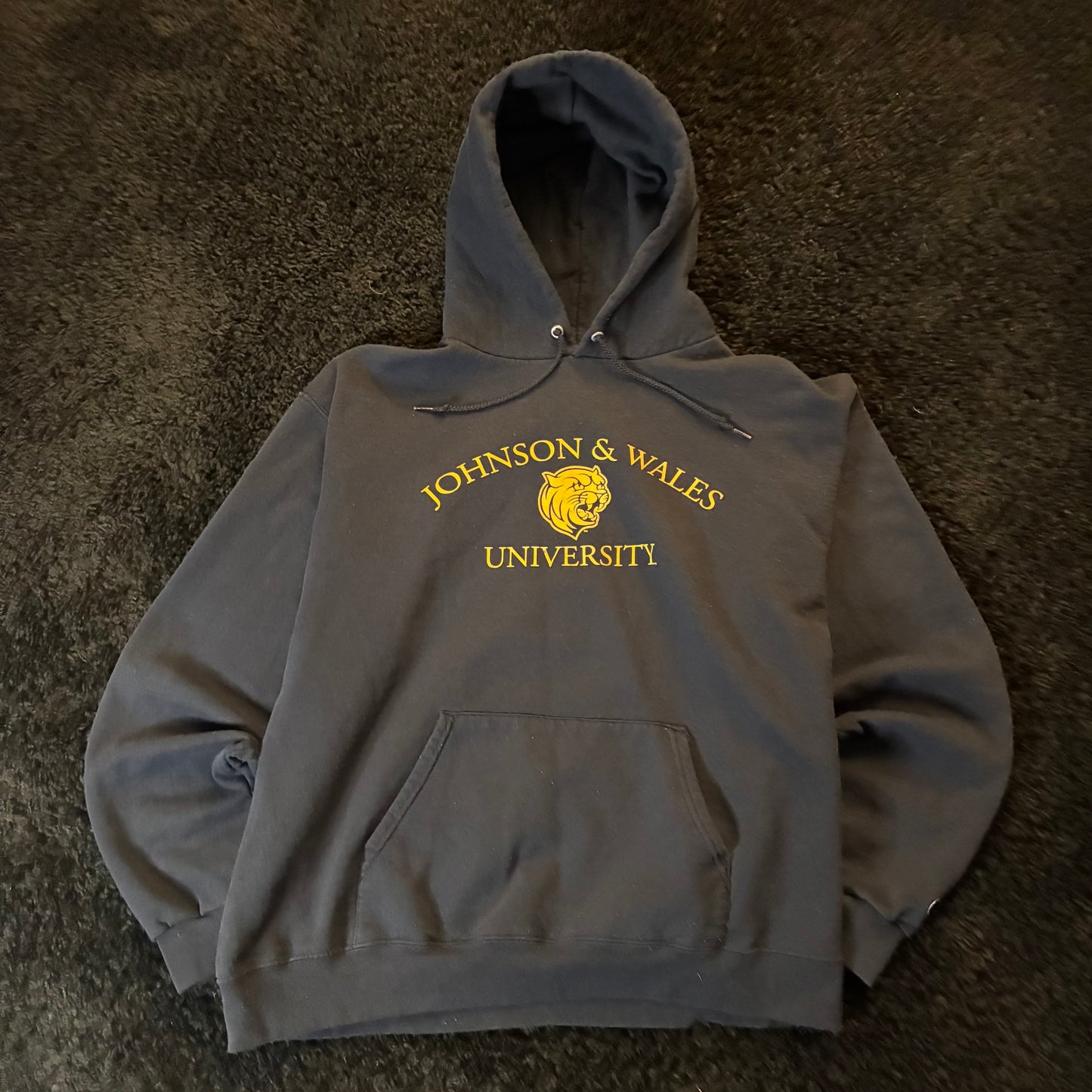 Champion JWU Hoodie (XL)
