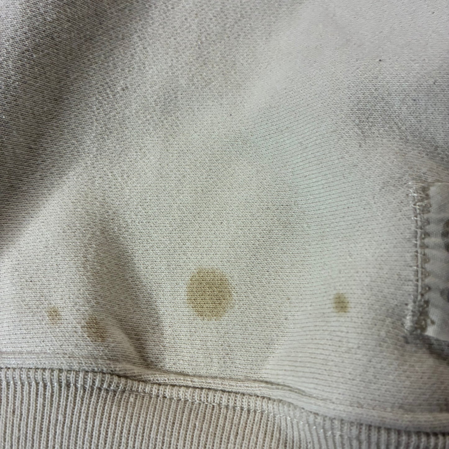 Champion Reverse-Weave Hoodie (S)