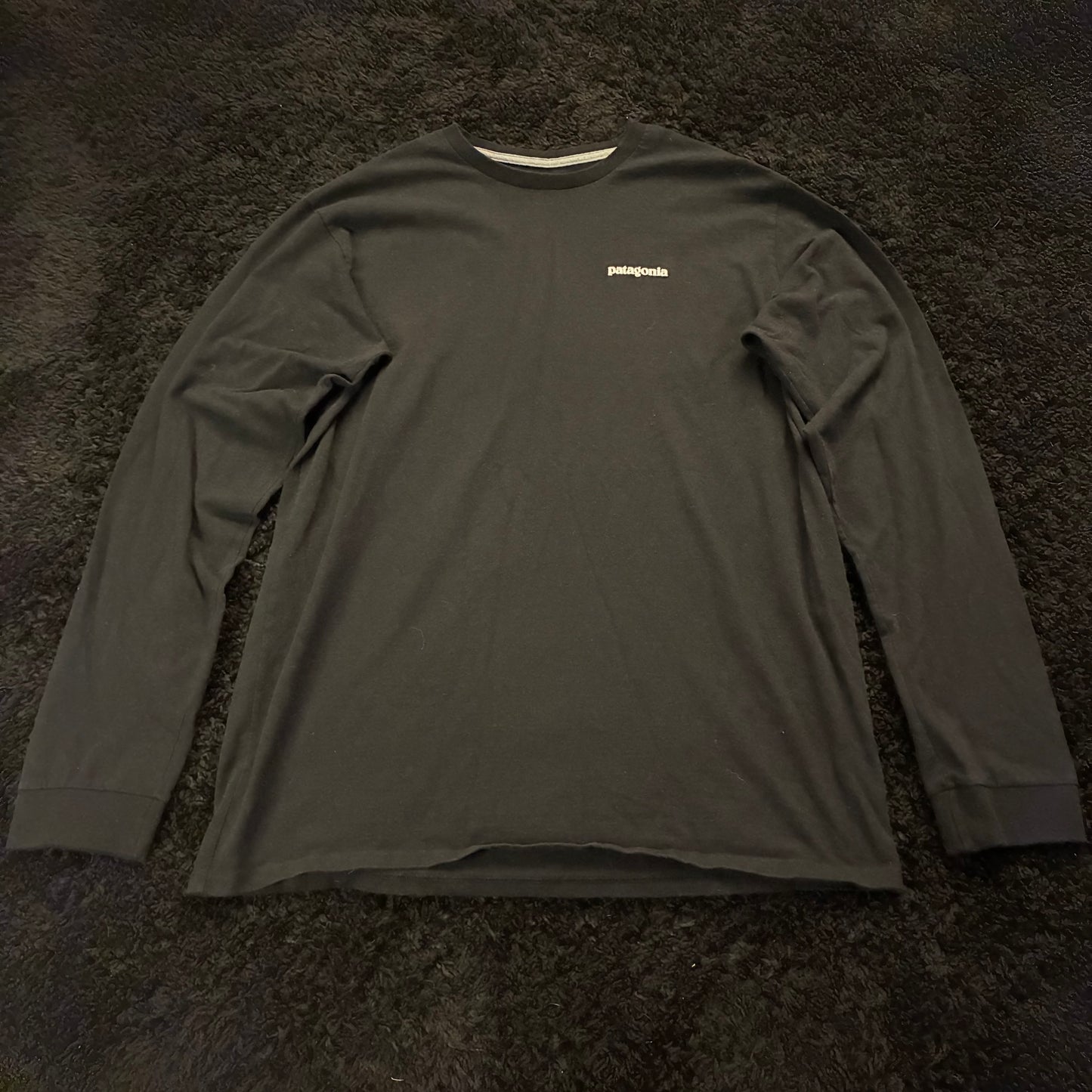 Patagonia Long Sleeve (L)