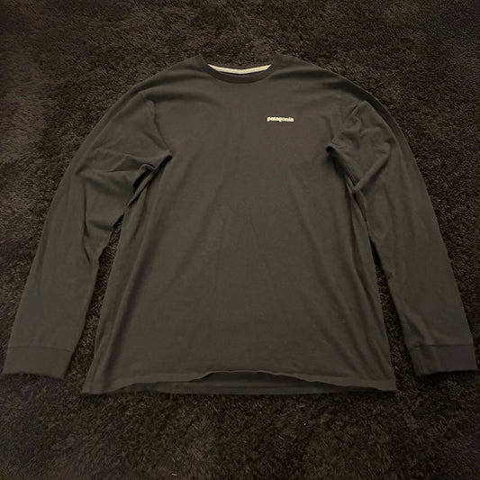 Patagonia Long Sleeve (L)