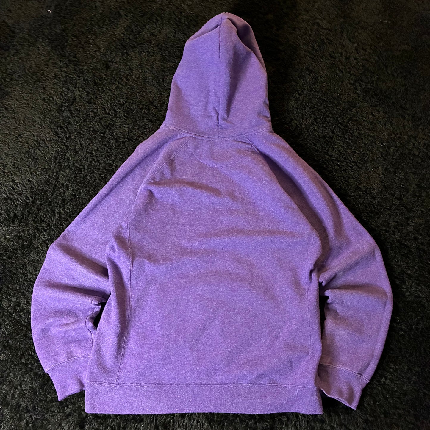Champion Hoodie (L)