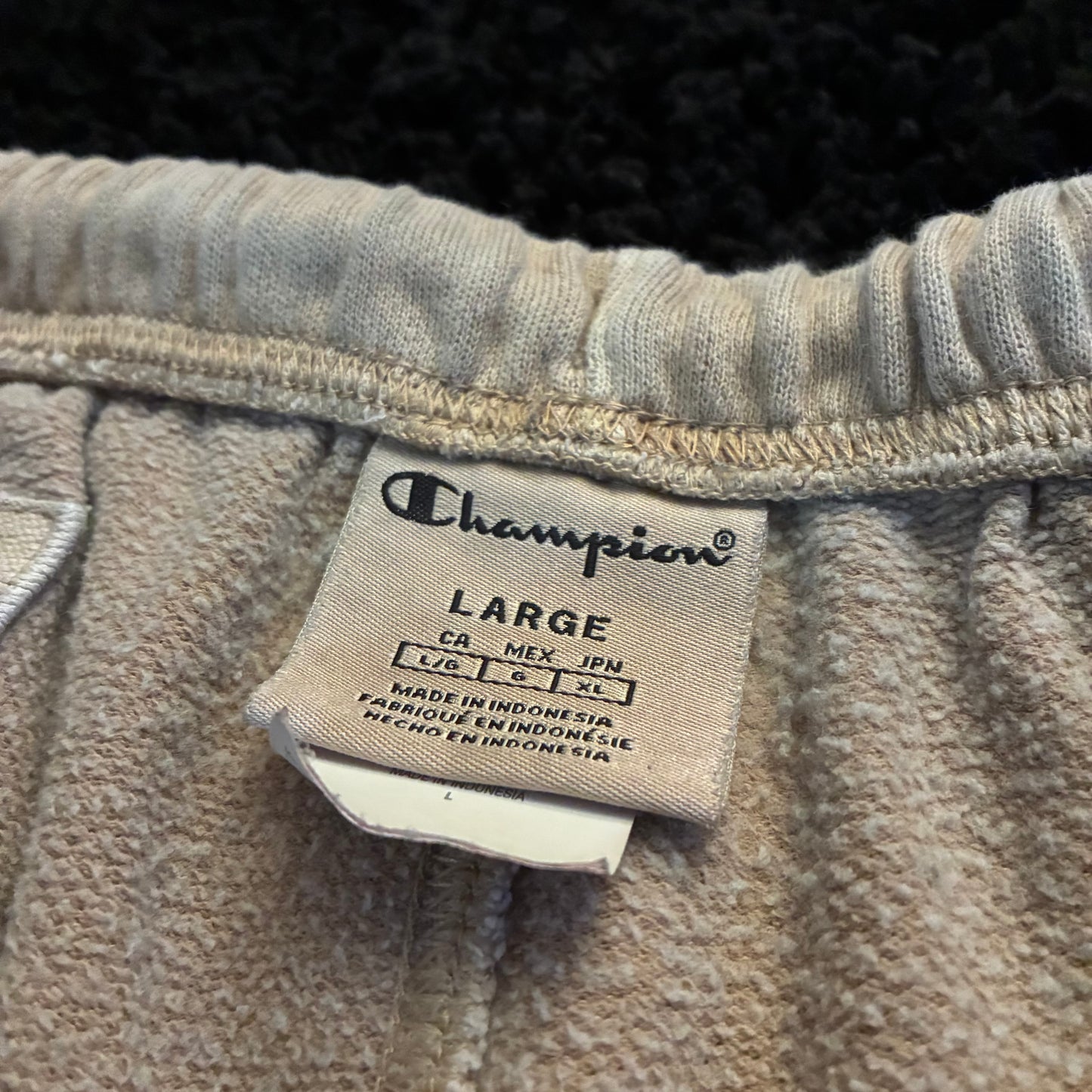 Champion Sweats (L)