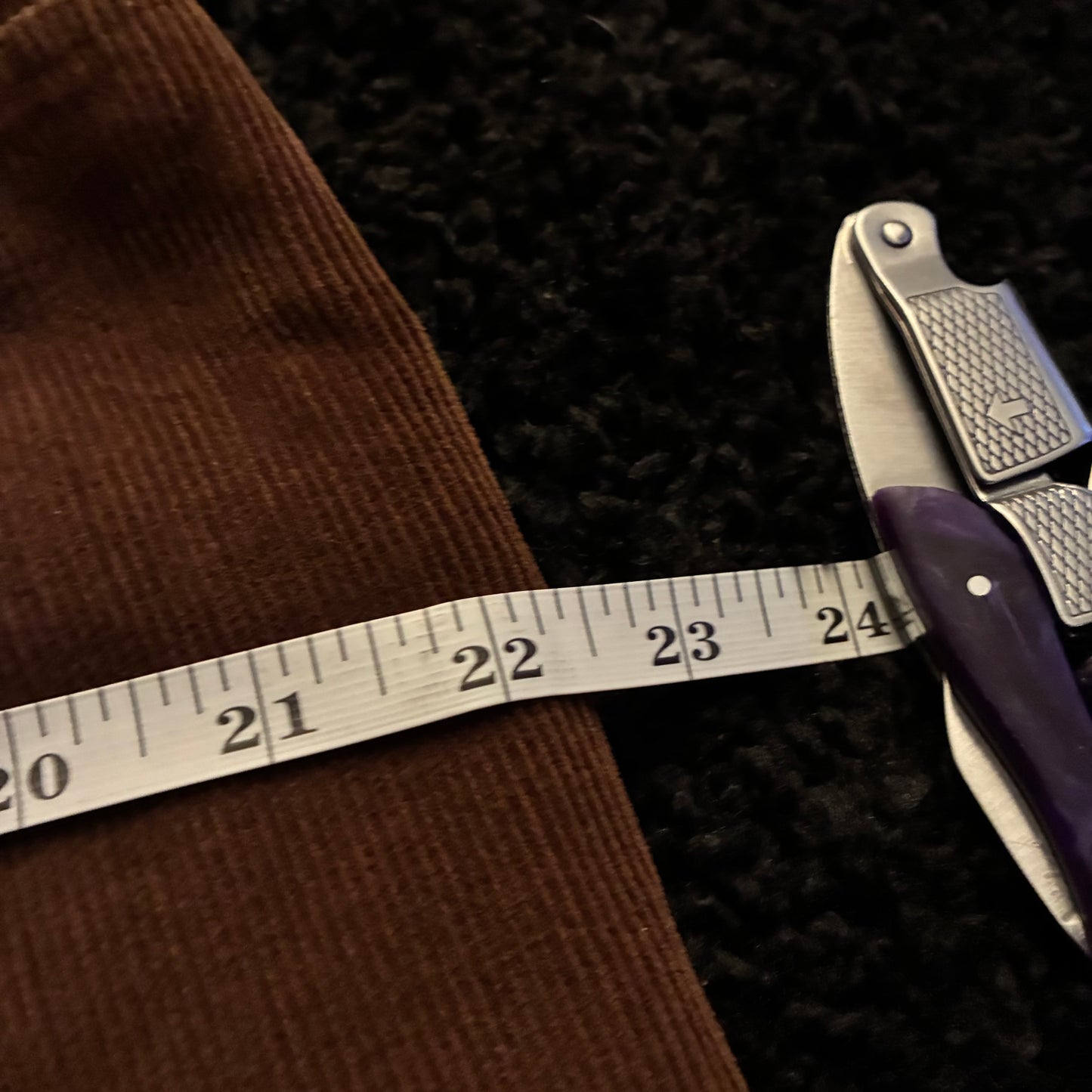 Dressbarn Corduroy Pants (Women’s 16)