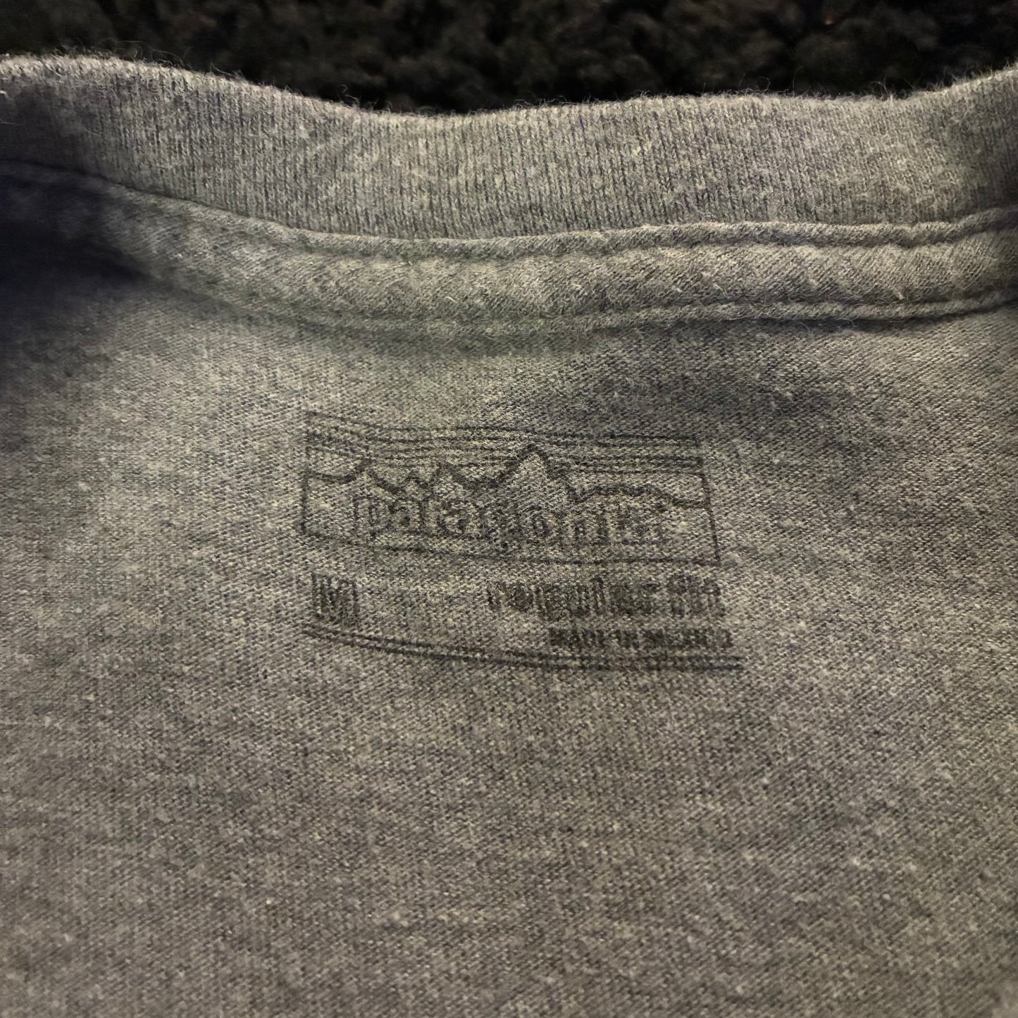 Patagonia Logo Tee (M)