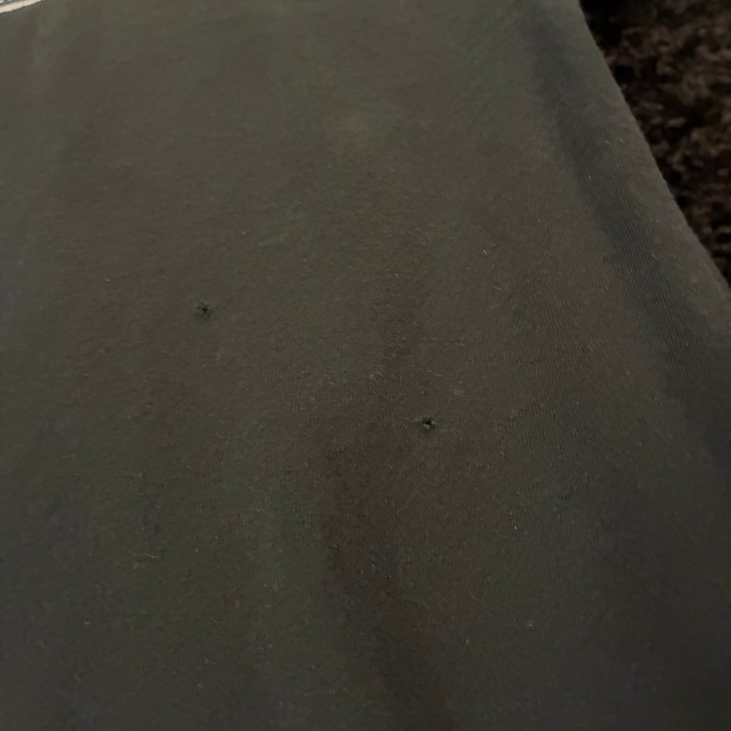 FlySophia Tee (XL)