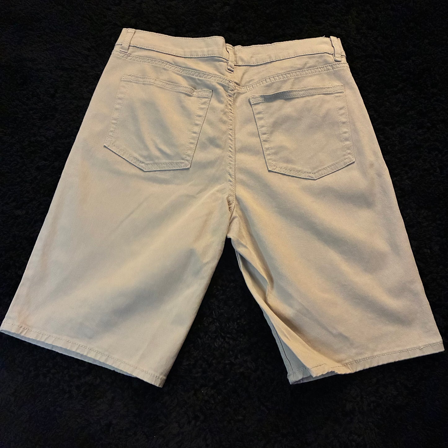 H&M Chino Shorts (30w)