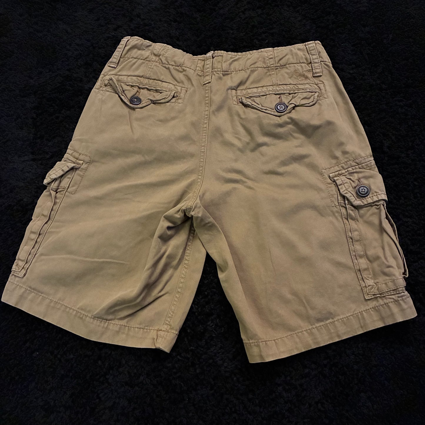 American Eagle Cargo Shorts (30w)