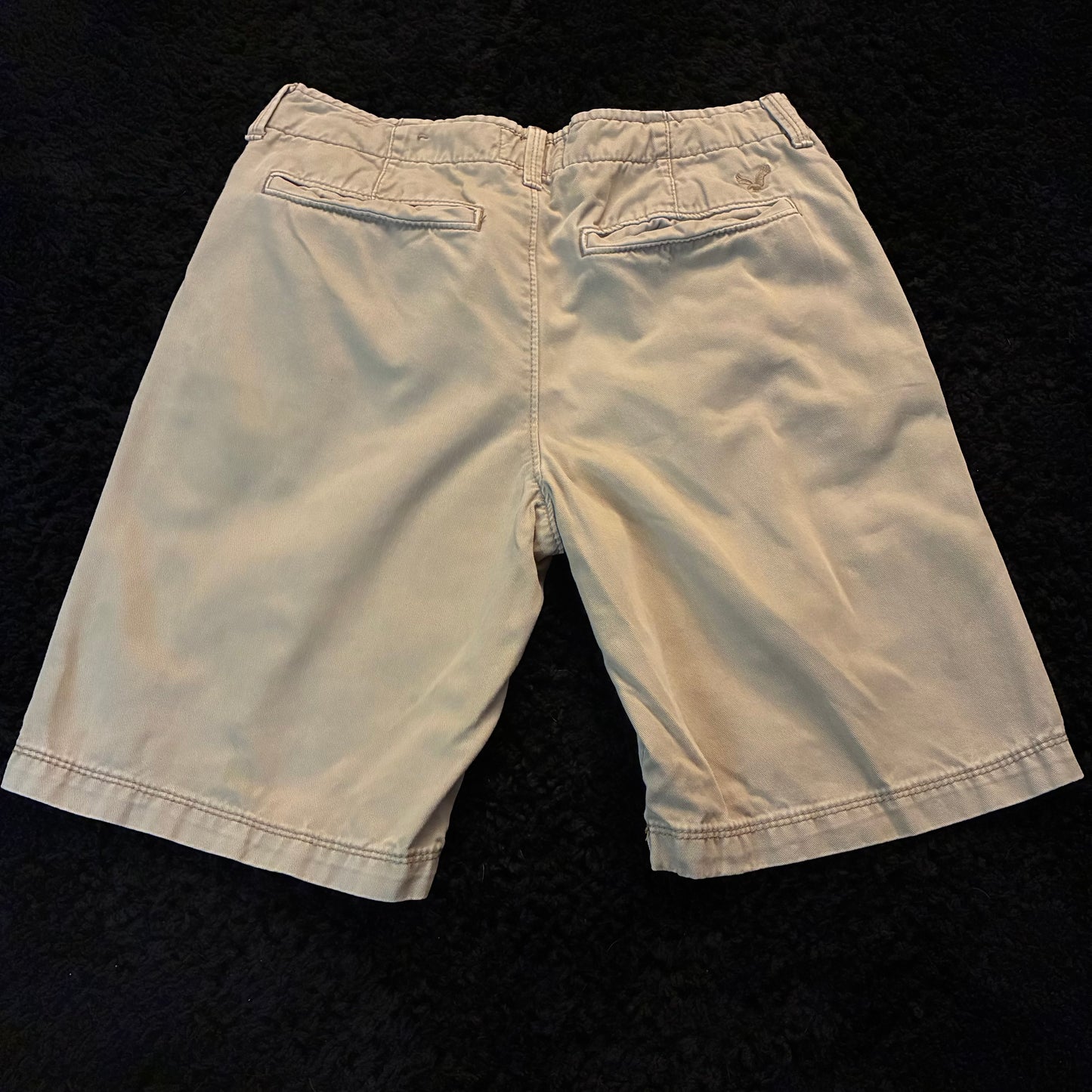 American Eagle Chino Shorts (28w)